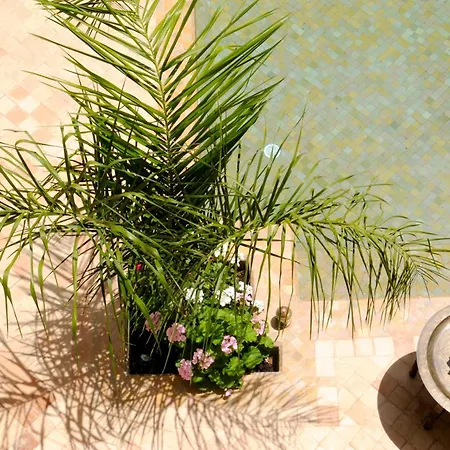 Riad Les Hibiscus-2